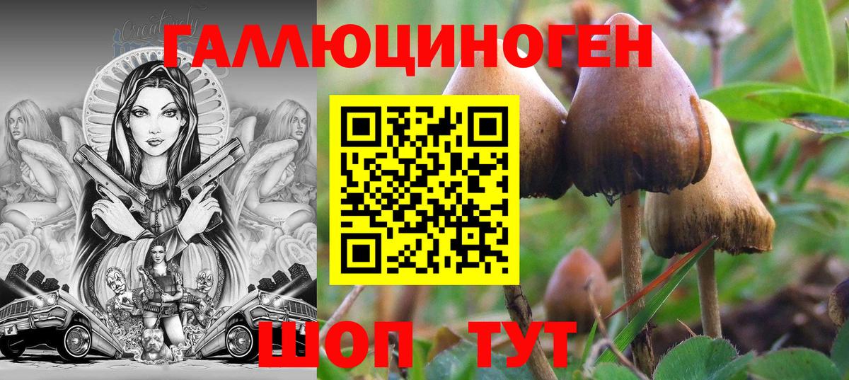 Галлюциногенные грибы ЛСД Курчатов